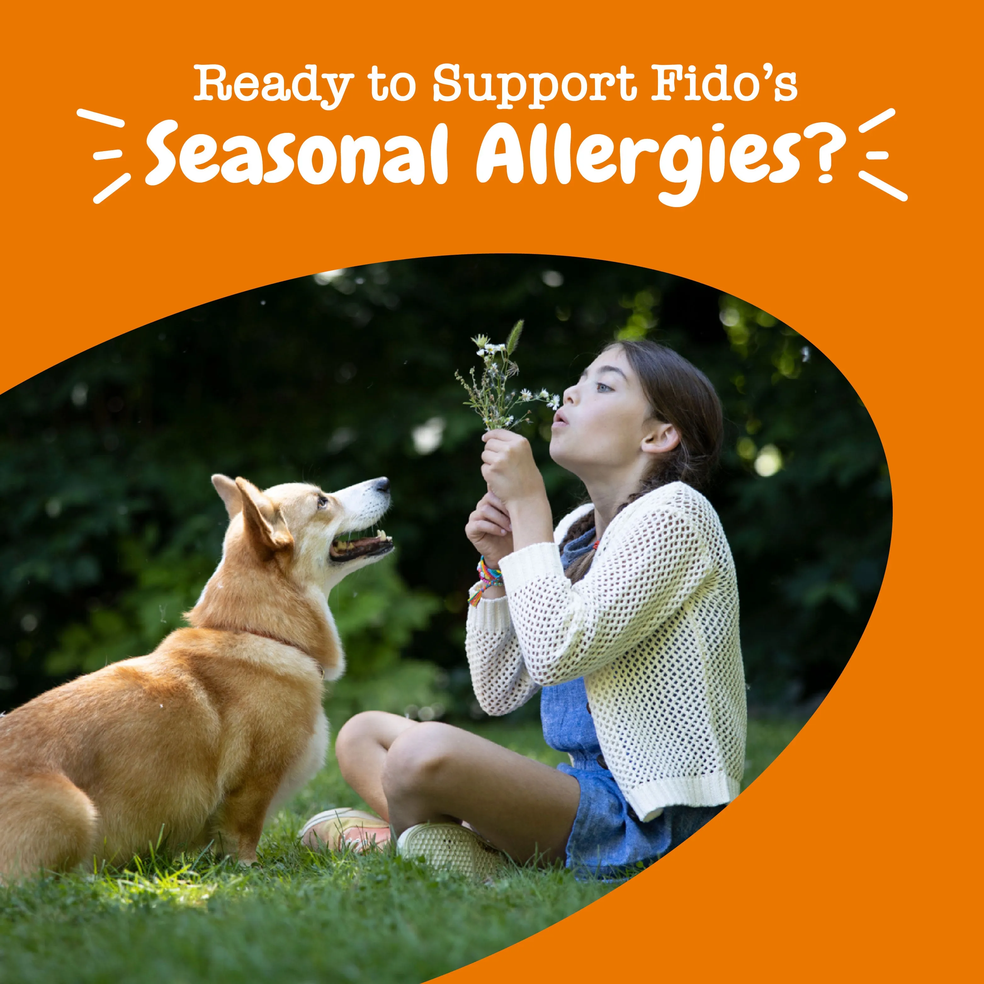 Allergy & Immune Mini Bites for Small Dogs