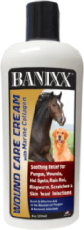 Banixx Horse and Pet Care Spray