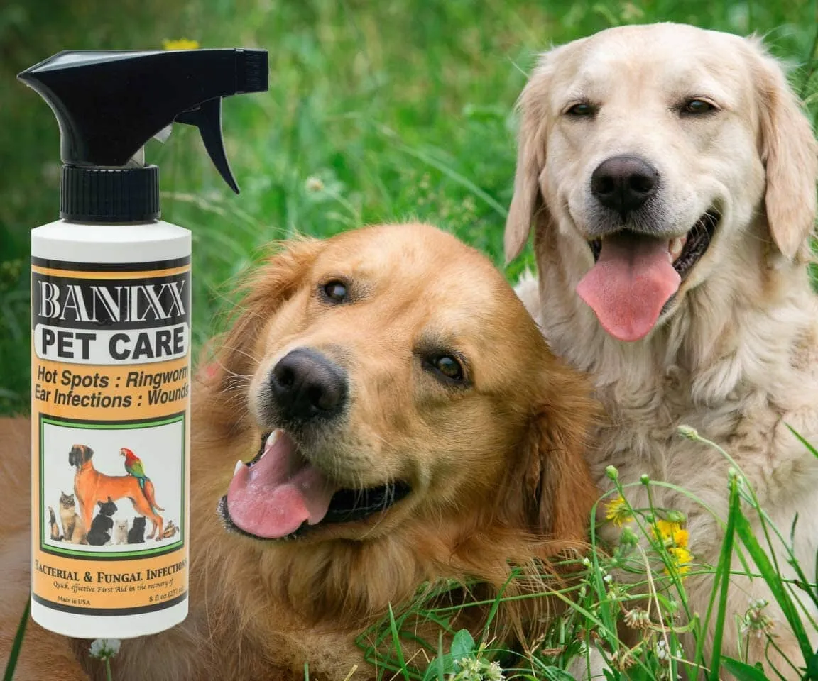 Banixx Pet Care Spray Dog Wound Care - 8 Oz
