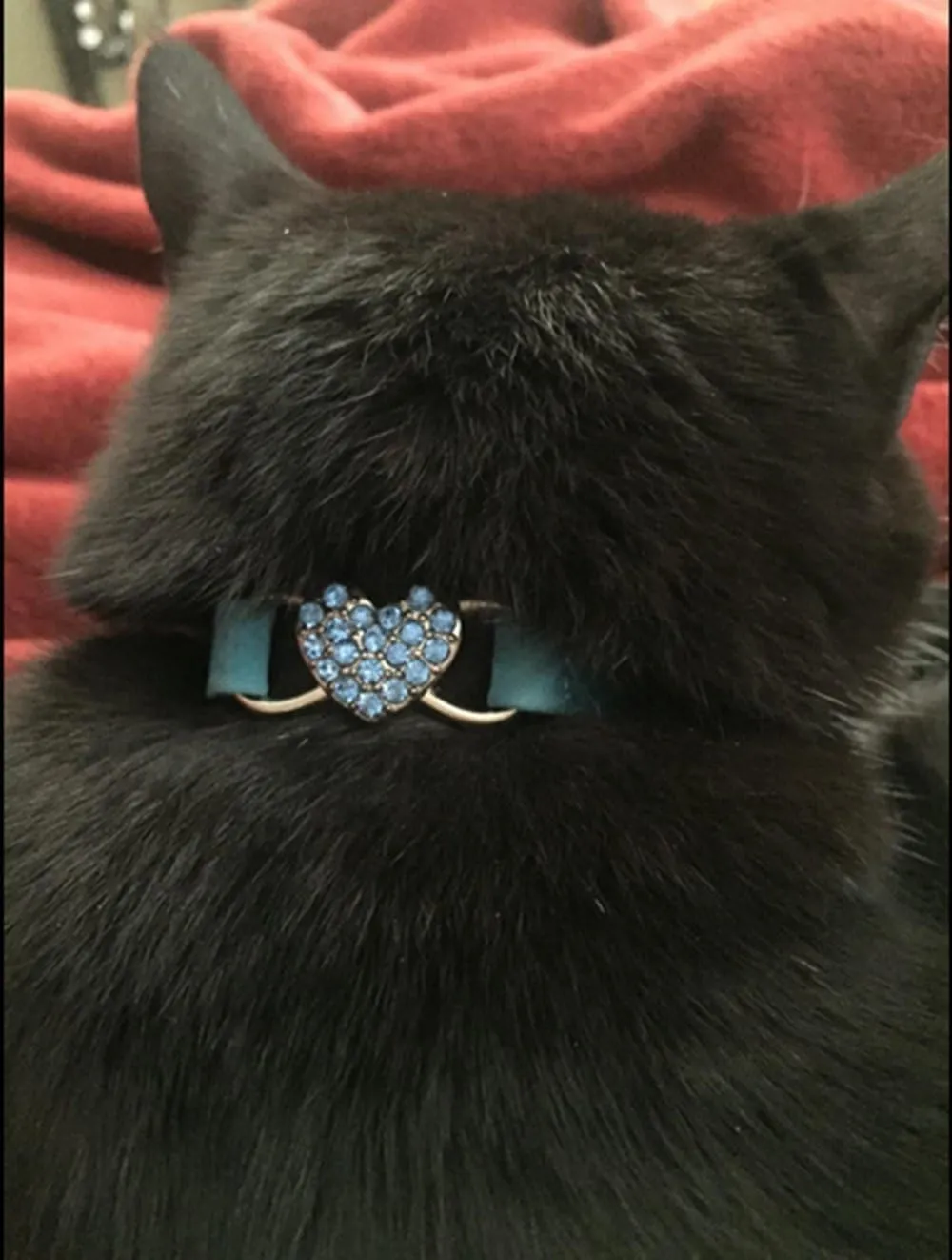 BINGPET Diamond Cat Collar,Adjustable Soft Velvet Leather Safe Kitten Collar with Crystal Heart Charm and Bells,Girl Boy Bling Stylish Cat Collars with Safety Elastic (Blue, Neck Girth 8"-10")