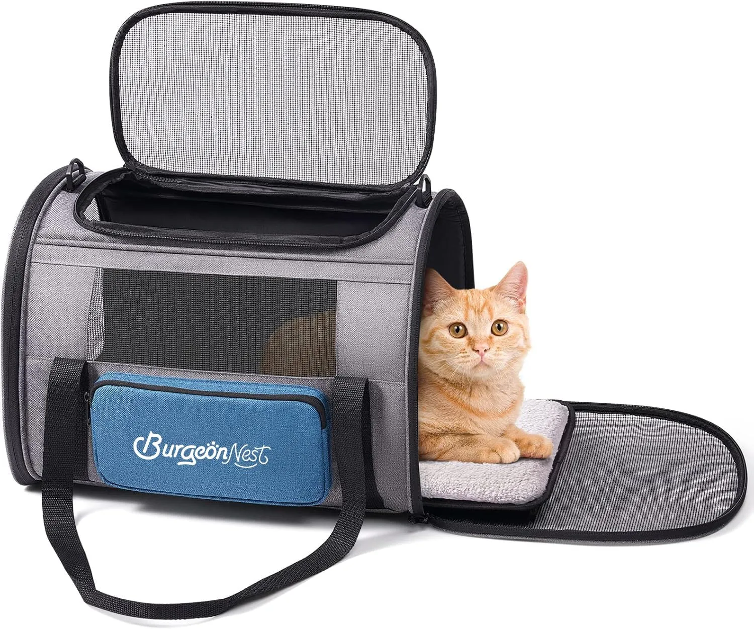 BurgeonNest , TSA,,20,,,