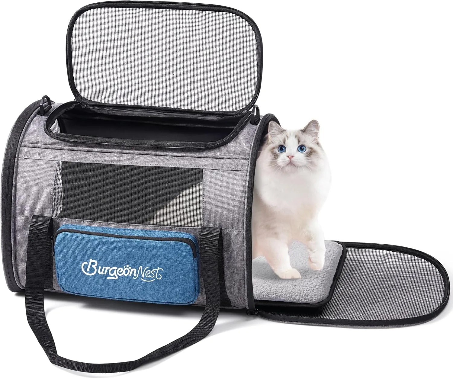 BurgeonNest , TSA,,20,,,