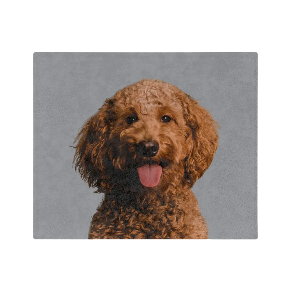 Customized Pet Art Blanket - 1 Pet