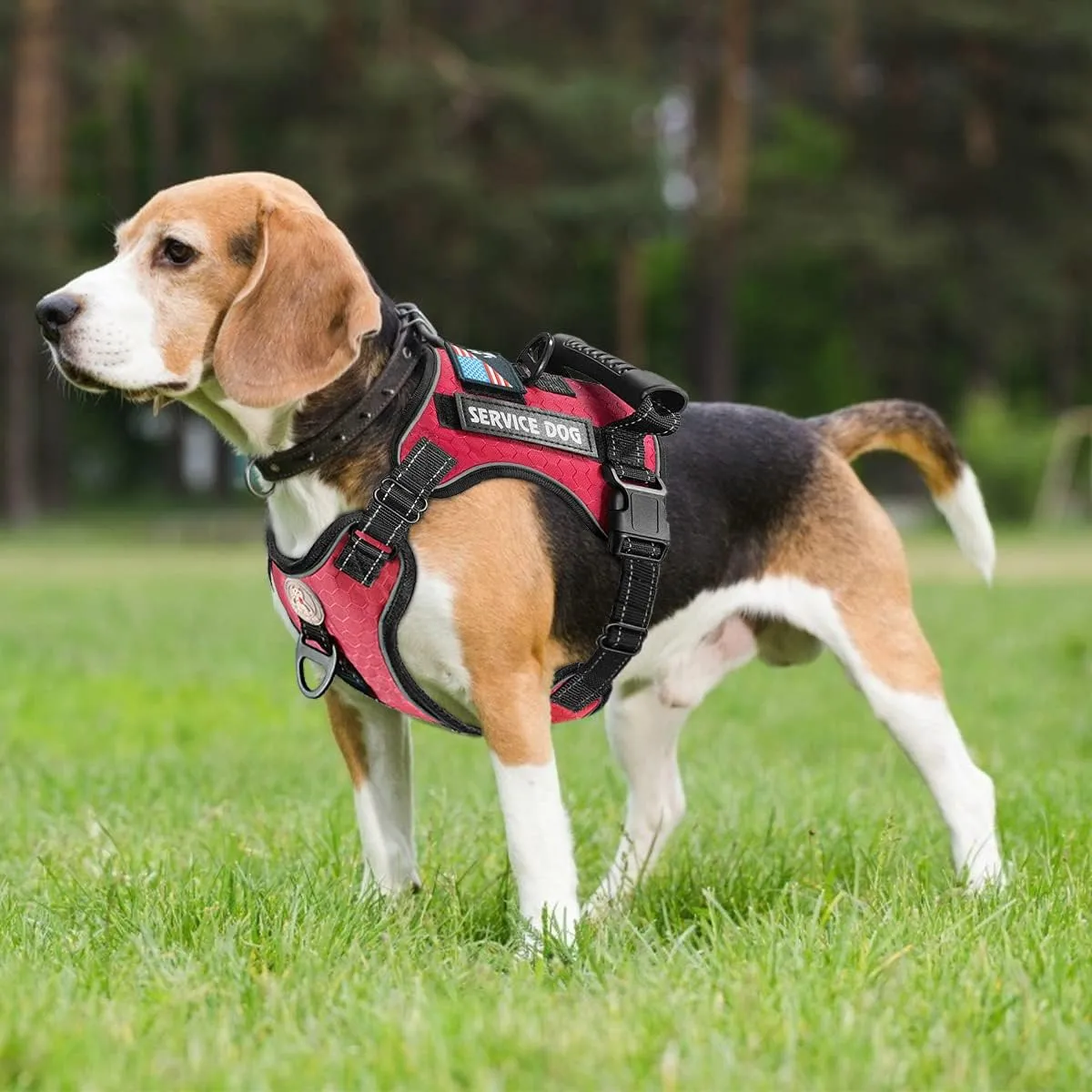 Cymiler Service Dog Vest,No-Pull Dog Harness and Leash Set,Adjustable Oxford Reflective Service Dog Vest Harness with Handle for Outdoor Walking Training,Easy Control for Small Medium Large Dogs