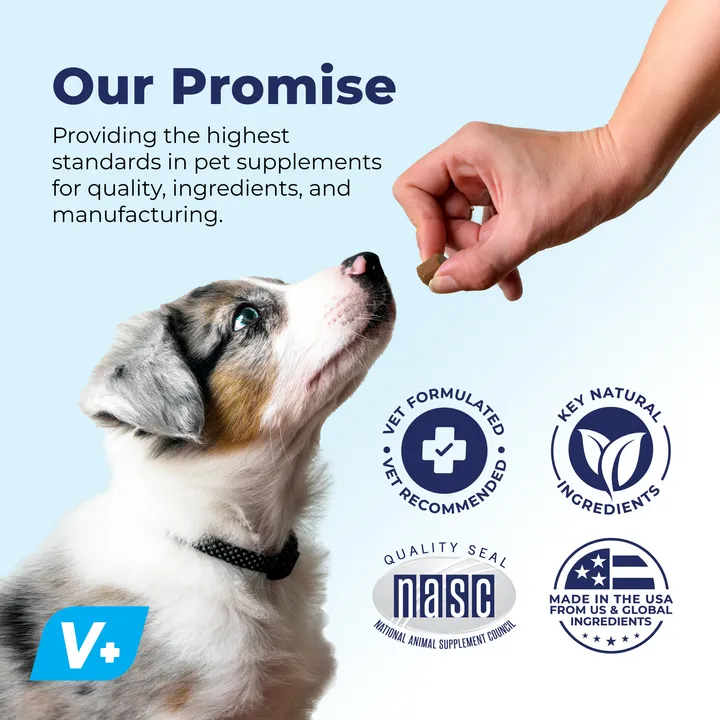 Dermabliss™ Seasonal Allergy & Immune Soft Chews for Dogs - VetPass Free Sample