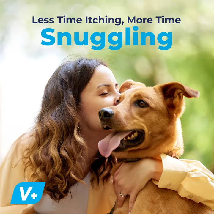 Dermabliss™ Seasonal Allergy & Immune Soft Chews for Dogs - VetPass Free Sample