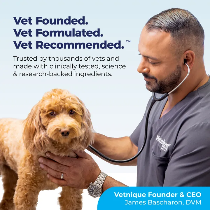 Dermabliss™ Seasonal Allergy & Immune Soft Chews for Dogs - VetPass Free Sample