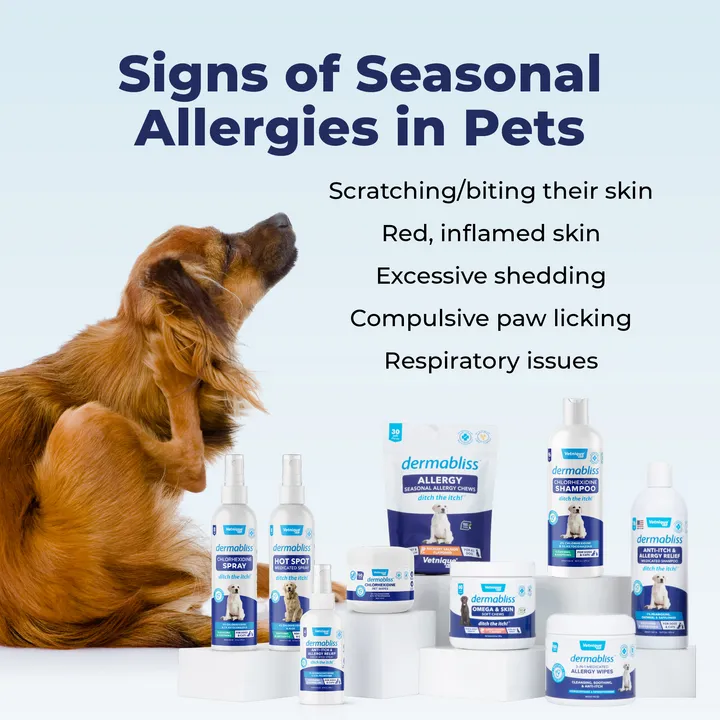Dermabliss™ Seasonal Allergy & Immune Soft Chews for Dogs - VetPass Free Sample