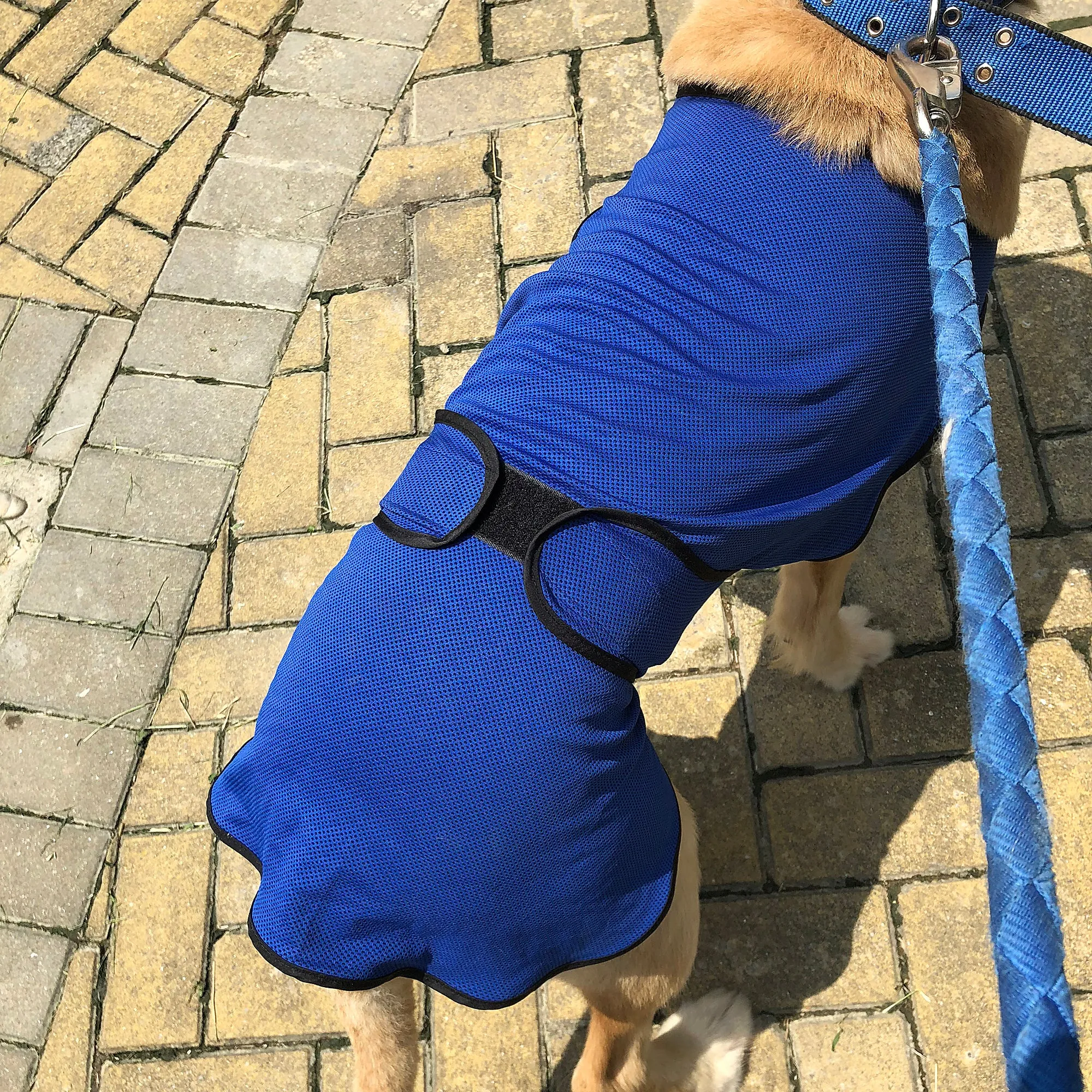 Dog Cooling Coat, Adjustable Size, Back Length 60 cm, Polyester-Blue