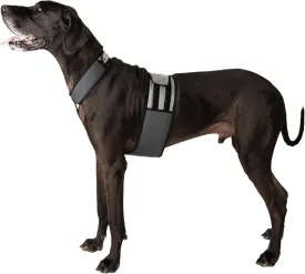 Dog Cooling Vest and Cooling Collar - Ice Vest for Dogs (XL)