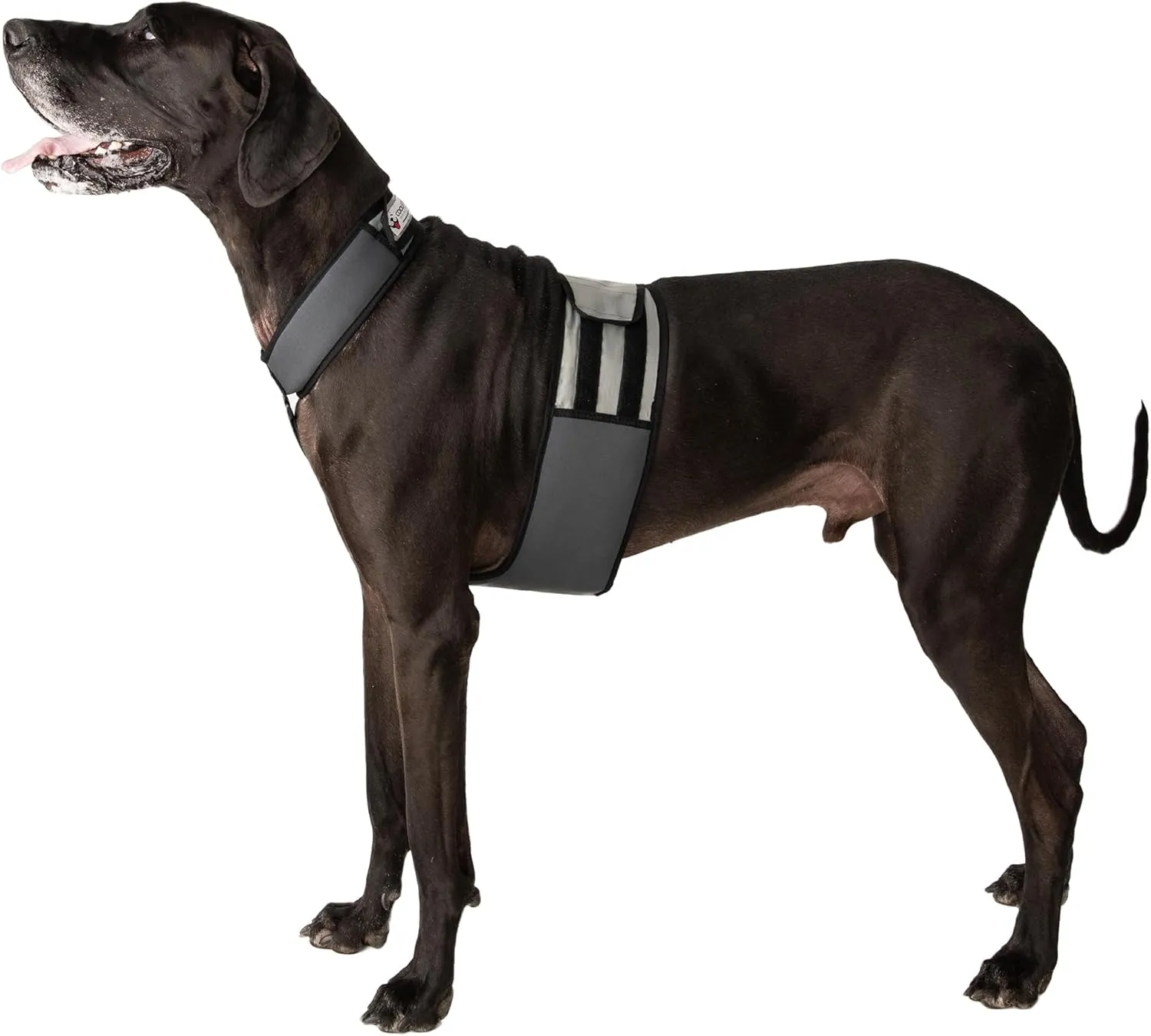 Dog Cooling Vest and Cooling Collar - Ice Vest for Dogs (XL)