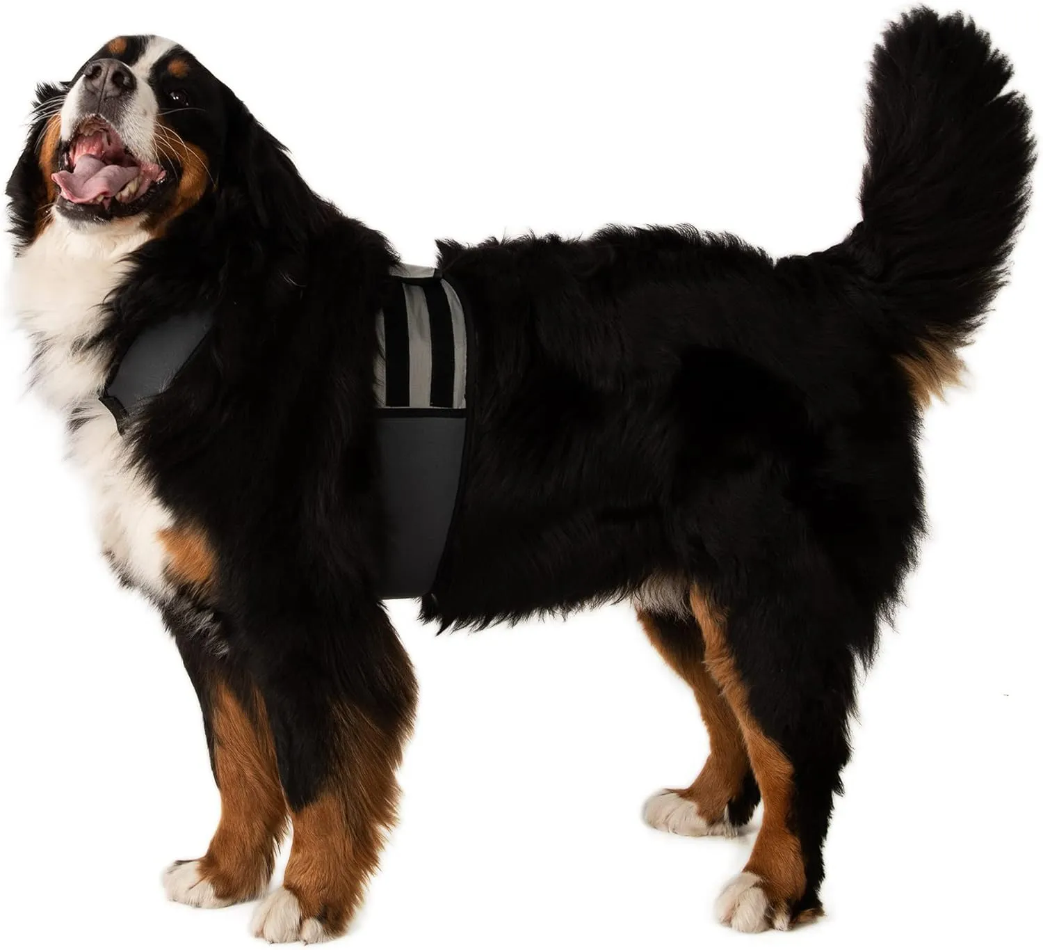 Dog Cooling Vest and Cooling Collar - Ice Vest for Dogs (XL)