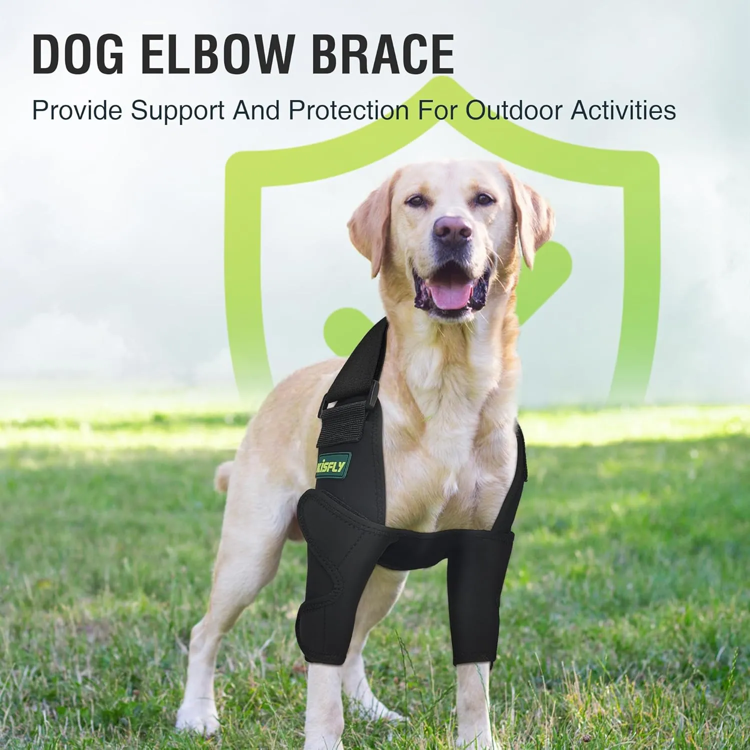Dog Elbow Protector for Osteoarthritis Canine Elbow and Shoulder Support Dysplasia Elbow Calluses Pressure Sores Dog Front Leg Brace for Better Recovery Both Legs XL