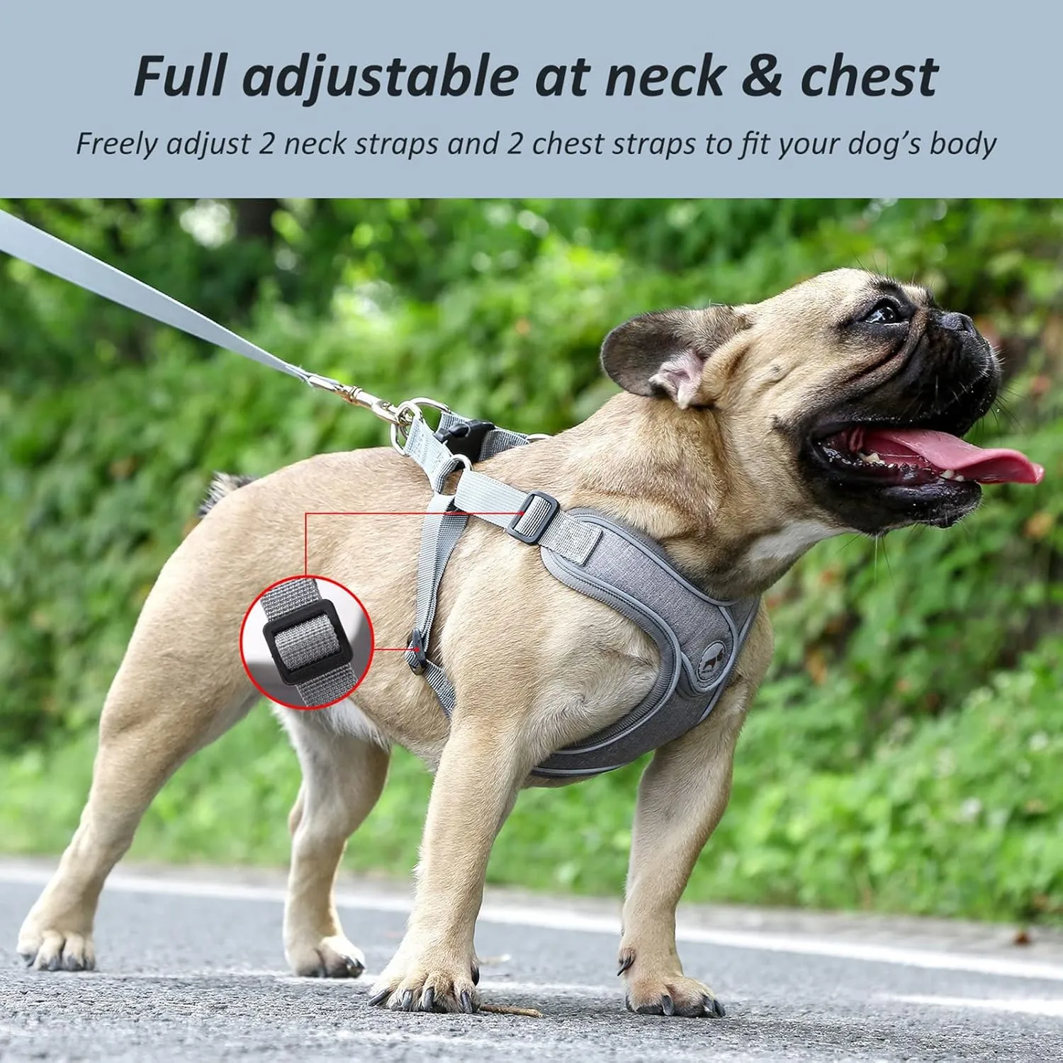 Dog Harness with Leash Set, No Pull Adjustable Step in Dog Collars Harness with Breathable Padded Vest Harness for Small Medium Large Dogs Training and Running(L, Gray)