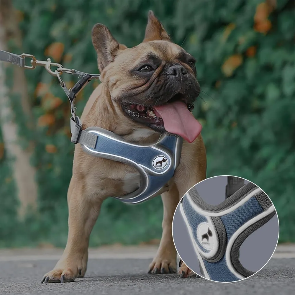 Dog Harness with Leash Set, No Pull Adjustable Step in Dog Collars Harness with Breathable Padded Vest Harness for Small Medium Large Dogs Training and Running(L, Gray)