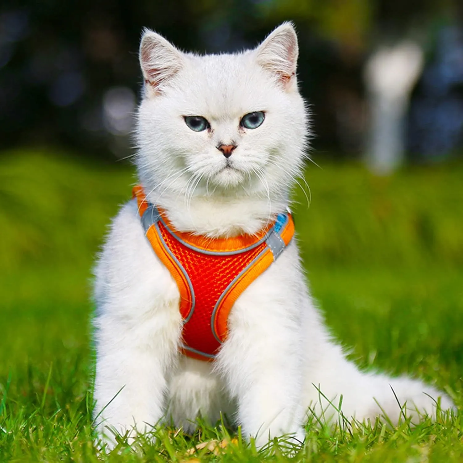 Dog Leash with Handle Soft Mesh Dog Harness and Leash Set for Walking Step Harness Reflective Adjustable Leash Vest Comfortable Dog Leash Dog Harness Neon