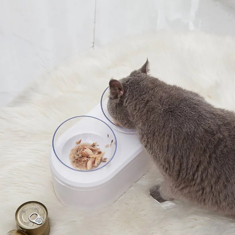 Double Pet Bowl Feeder with Storage Space