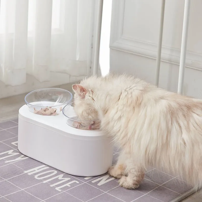 Double Pet Bowl Feeder with Storage Space