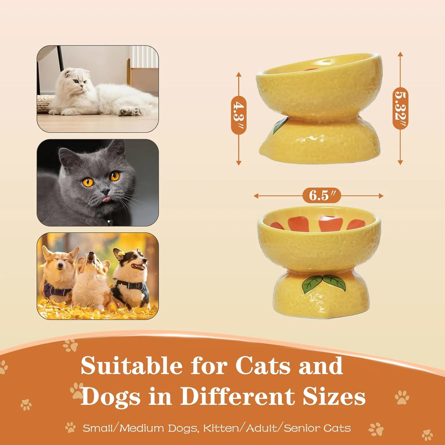 Elevated Cat Bowl, Ceramic Tilted Cat Food Bowl for Indoor Cats, Shallow Food Dish Whisker Friendly for Adult Cats and Small Medium Dogs (Yellow).