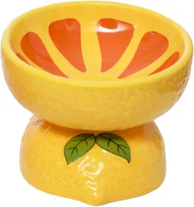 Elevated Cat Bowl, Ceramic Tilted Cat Food Bowl for Indoor Cats, Shallow Food Dish Whisker Friendly for Adult Cats and Small Medium Dogs (Yellow).