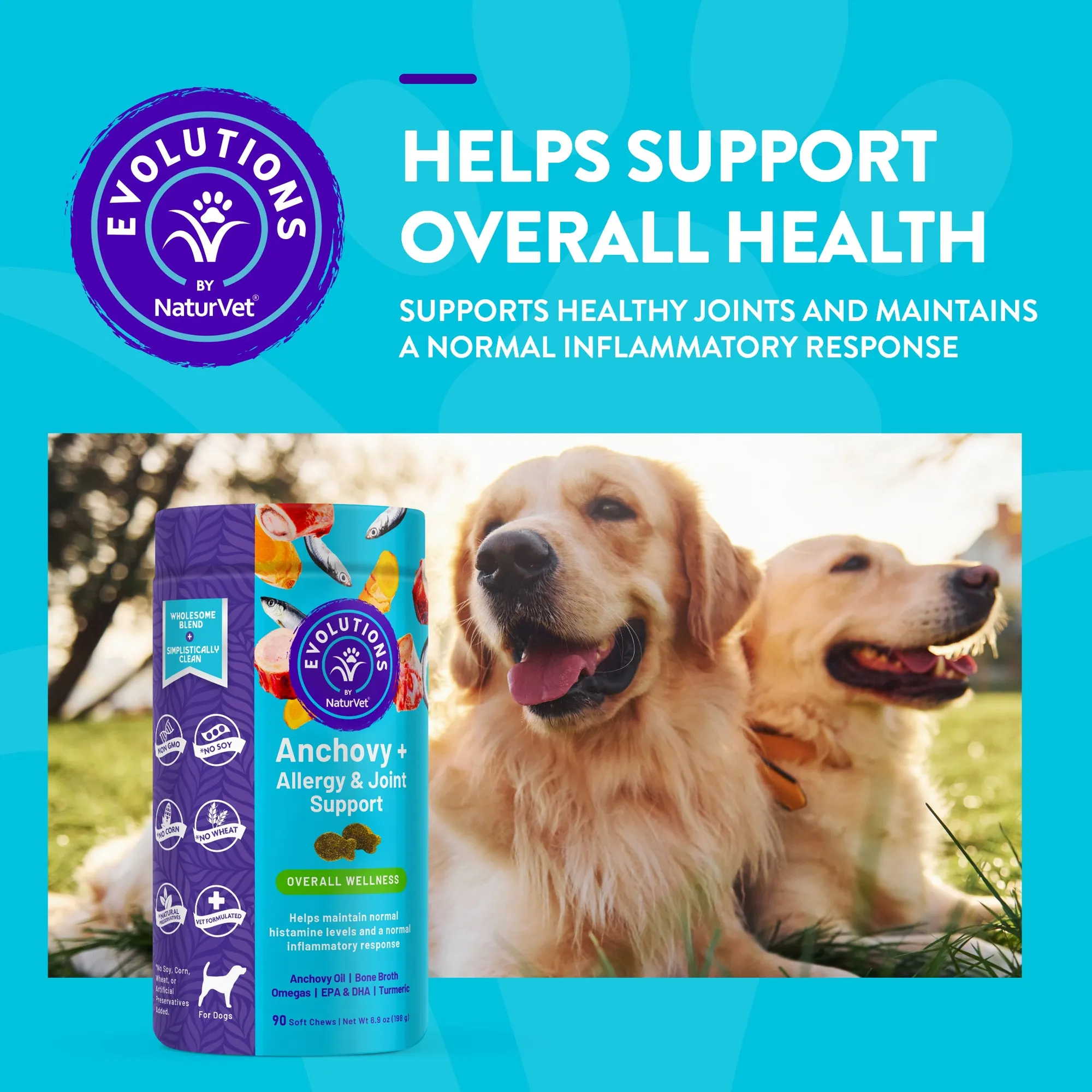 Evolutions - Anchovy   Allergy & Joint Support Soft Chews
