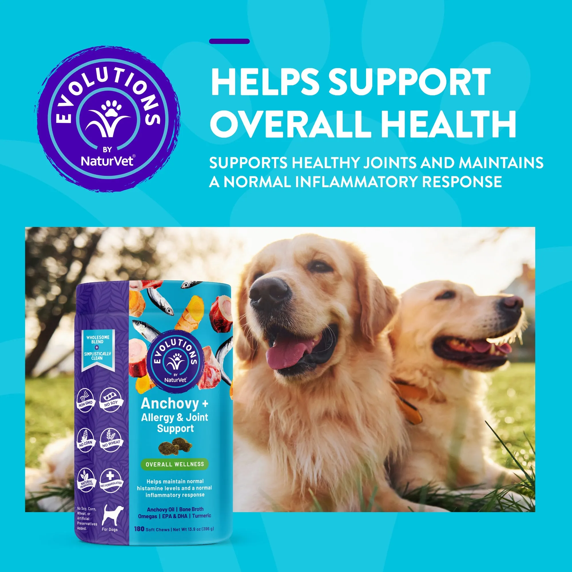 Evolutions - Anchovy   Allergy & Joint Support Soft Chews