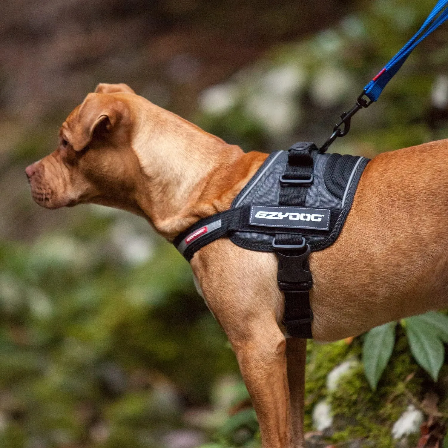 EzyDog Convert Dog Harness  Trail-Ready Rugged Harness for Walking, Hiking & Outdoors with Reflective Piping, Badge Attachment Points, Traffic handle, & Comfort Lining (XX-Large, Burgundy)