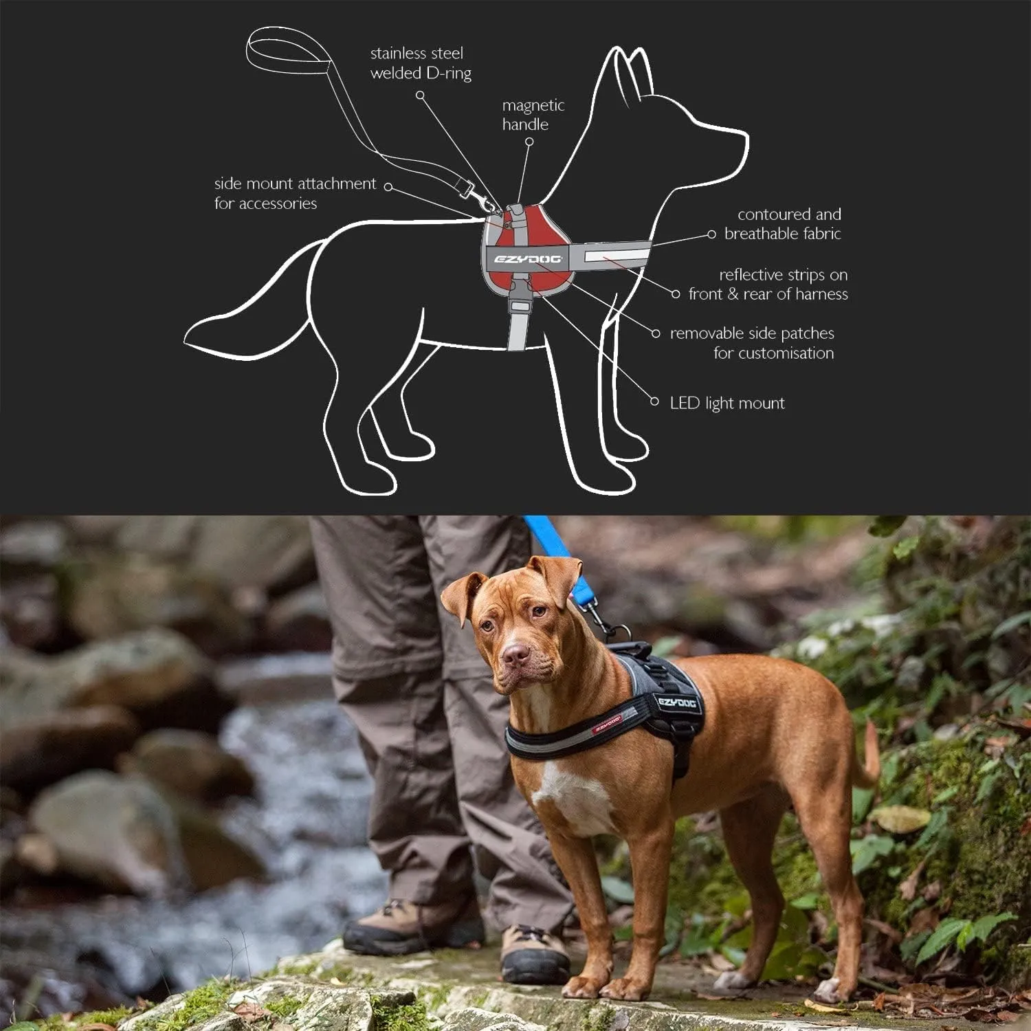 EzyDog Convert Dog Harness  Trail-Ready Rugged Harness for Walking, Hiking & Outdoors with Reflective Piping, Badge Attachment Points, Traffic handle, & Comfort Lining (XX-Large, Burgundy)