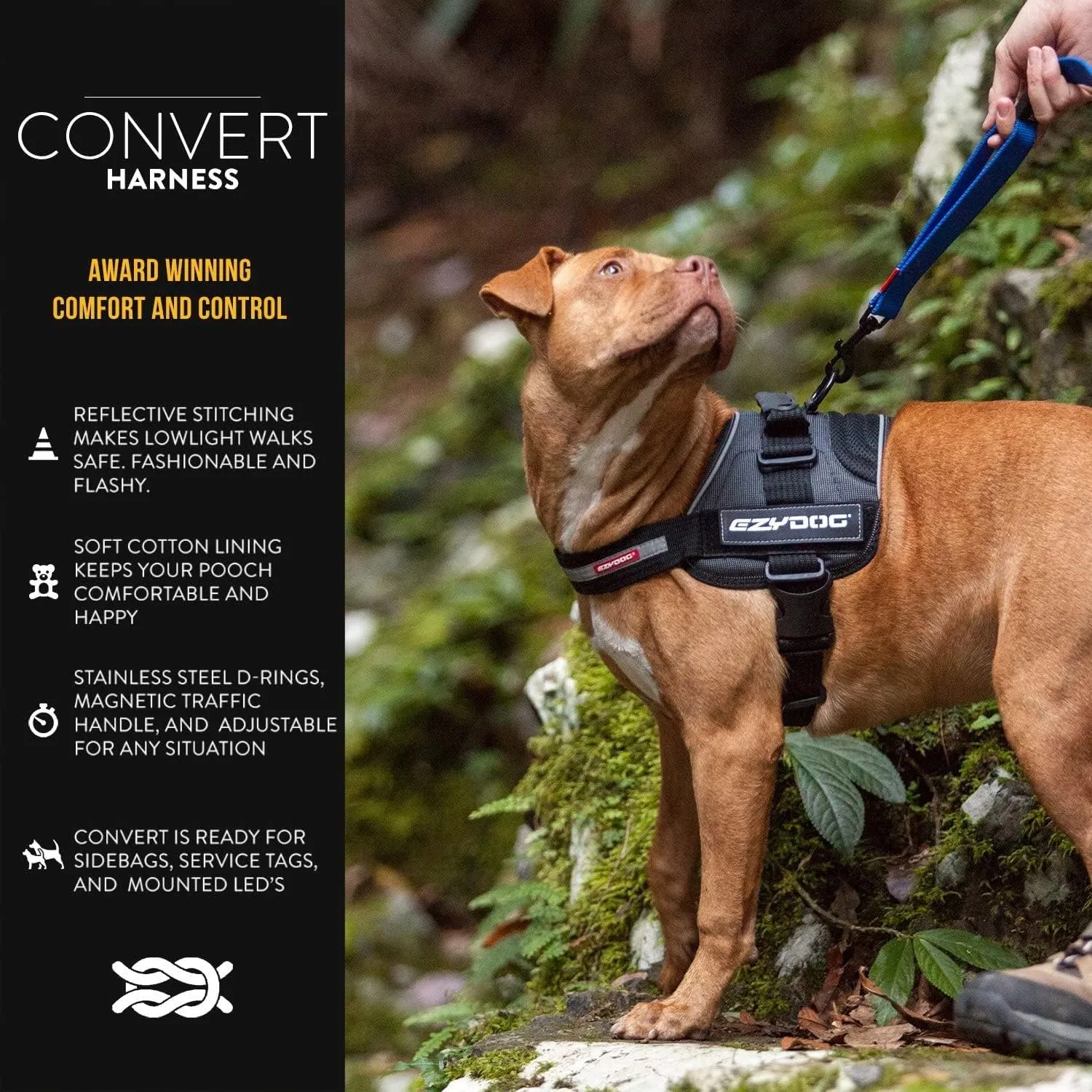 EzyDog Convert Dog Harness  Trail-Ready Rugged Harness for Walking, Hiking & Outdoors with Reflective Piping, Badge Attachment Points, Traffic handle, & Comfort Lining (XX-Large, Burgundy)