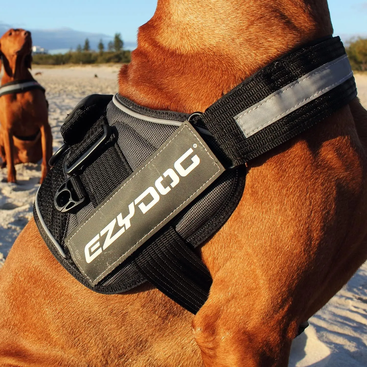 EzyDog Convert Dog Harness  Trail-Ready Rugged Harness for Walking, Hiking & Outdoors with Reflective Piping, Badge Attachment Points, Traffic handle, & Comfort Lining (XX-Large, Burgundy)