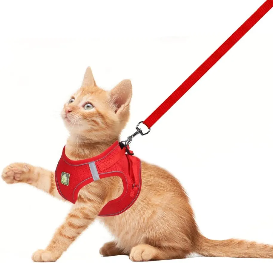 FEimaX Dog Harness and Leash Set, No Pull Breathable Soft Mesh Puppy Vest Harness Reflective Adjustable Pet Harnesses for Small Medium Dogs and Cats - Outdoor Easy Control for Walking