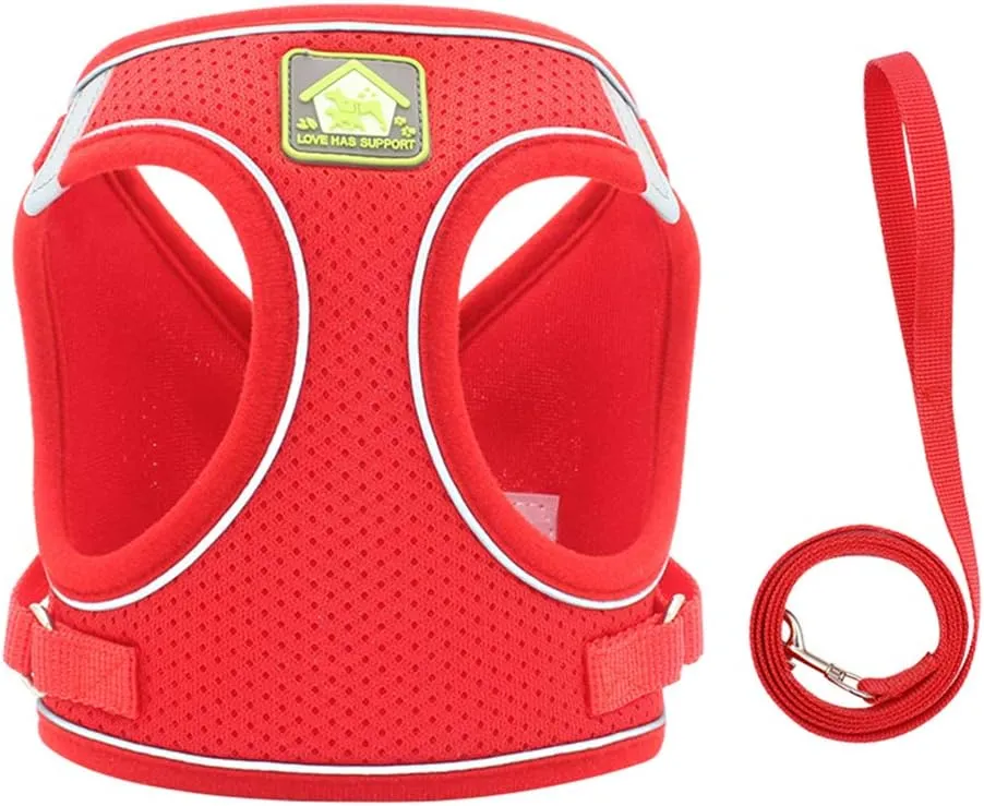 FEimaX Dog Harness and Leash Set, No Pull Breathable Soft Mesh Puppy Vest Harness Reflective Adjustable Pet Harnesses for Small Medium Dogs and Cats - Outdoor Easy Control for Walking