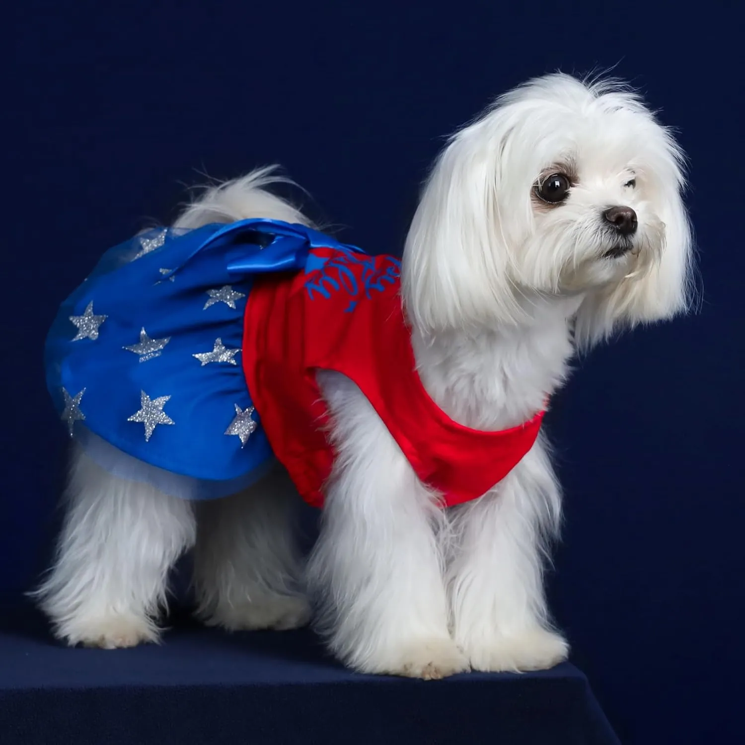 Fitwarm Happy 4th of July Dog Tulle Dress, Patriotic Dog Clothes for Small Dogs Girl, Red and White Star Pet Outfit, Red, Royal Blue, Medium