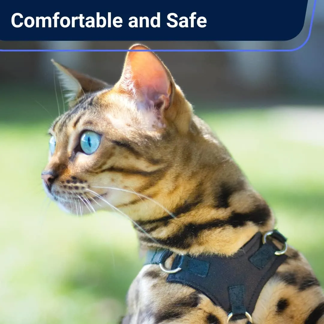 Houdini Escape Proof Cat Harness and Leash Set by OutdoorBengal for Walking Cats and Kittens (Leather, Large Cat)