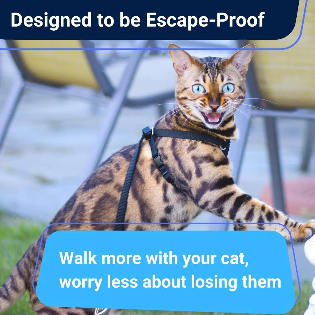 Houdini Escape Proof Cat Harness and Leash Set by OutdoorBengal for Walking Cats and Kittens (Leather, Large Cat)