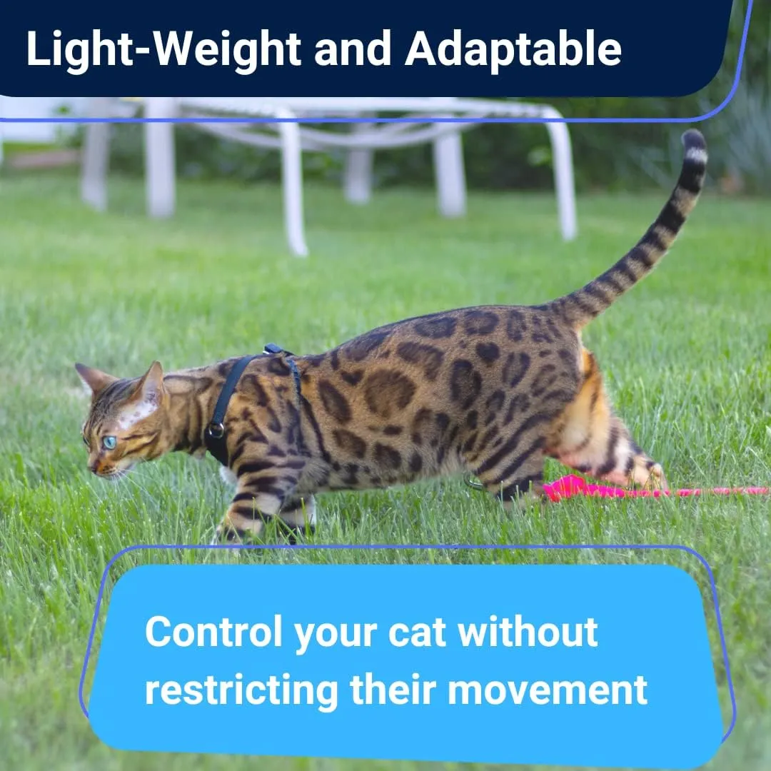 Houdini Escape Proof Cat Harness and Leash Set by OutdoorBengal for Walking Cats and Kittens (Leather, Large Cat)