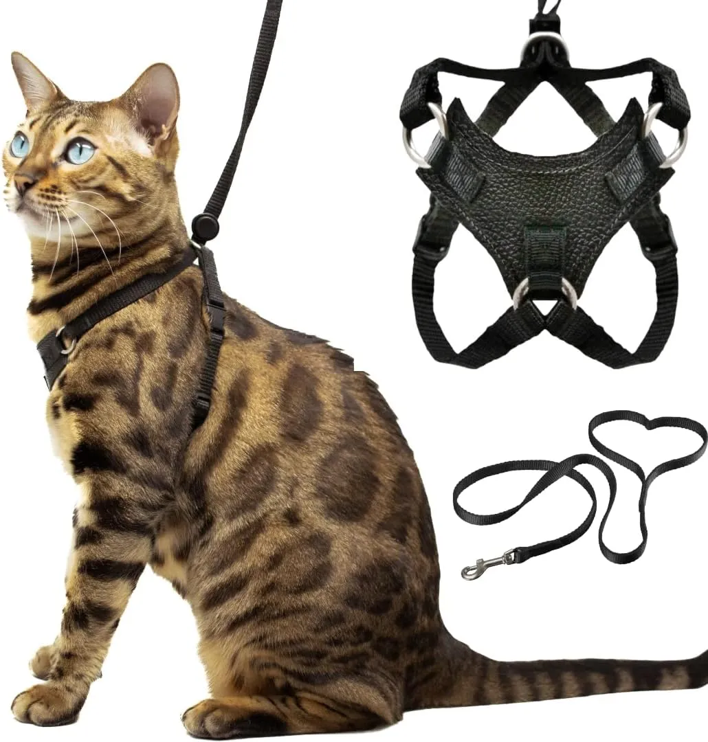 Houdini Escape Proof Cat Harness and Leash Set by OutdoorBengal for Walking Cats and Kittens (Leather, Large Cat)