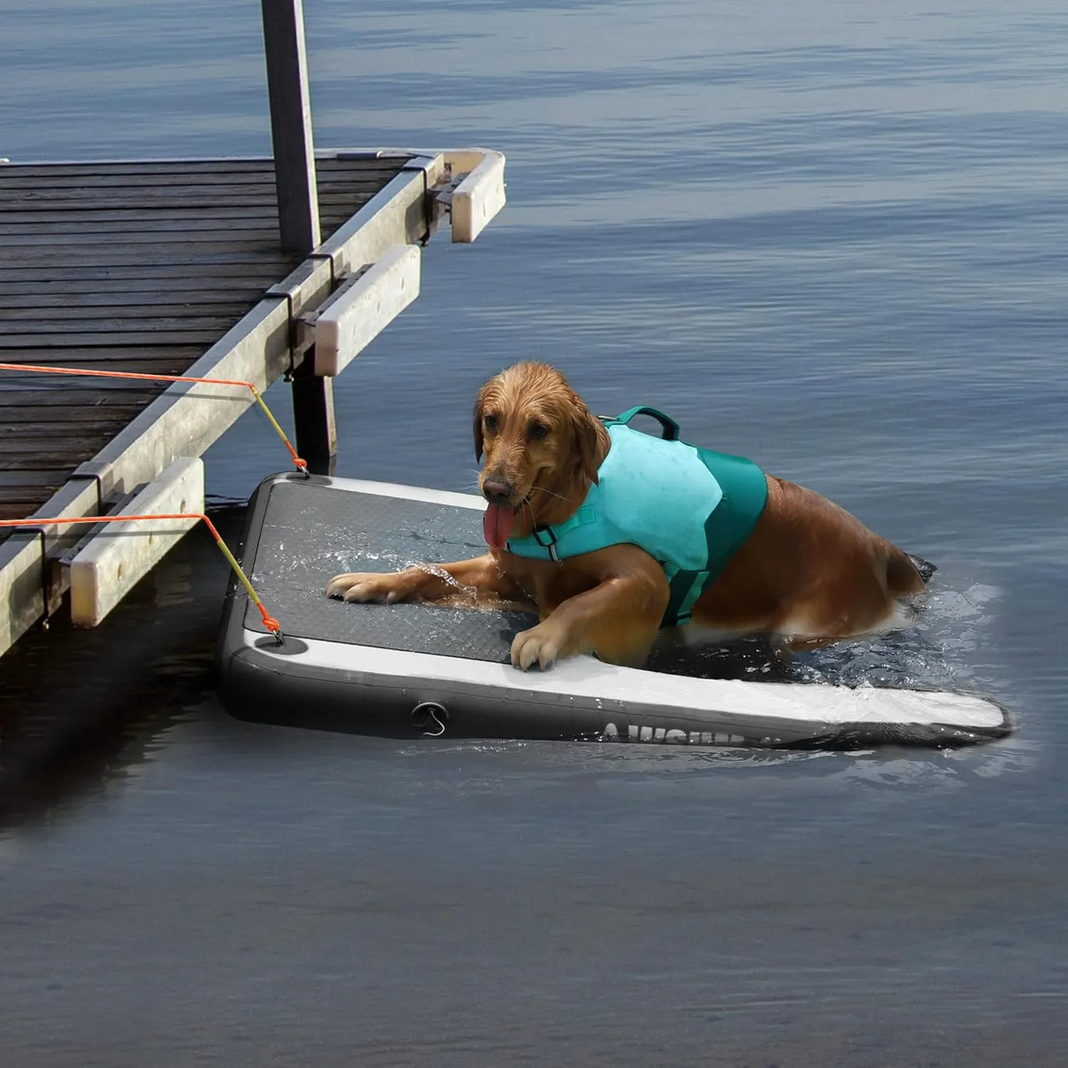 Inflatable Dog Water Ramp Pool Float Floating Ladder Steps for Dogs Safe and Easy Access to Water for Dogs Boat Ramp for Pool, Lake, Boat, Dock, with Non-Slip Pad and High Visibility