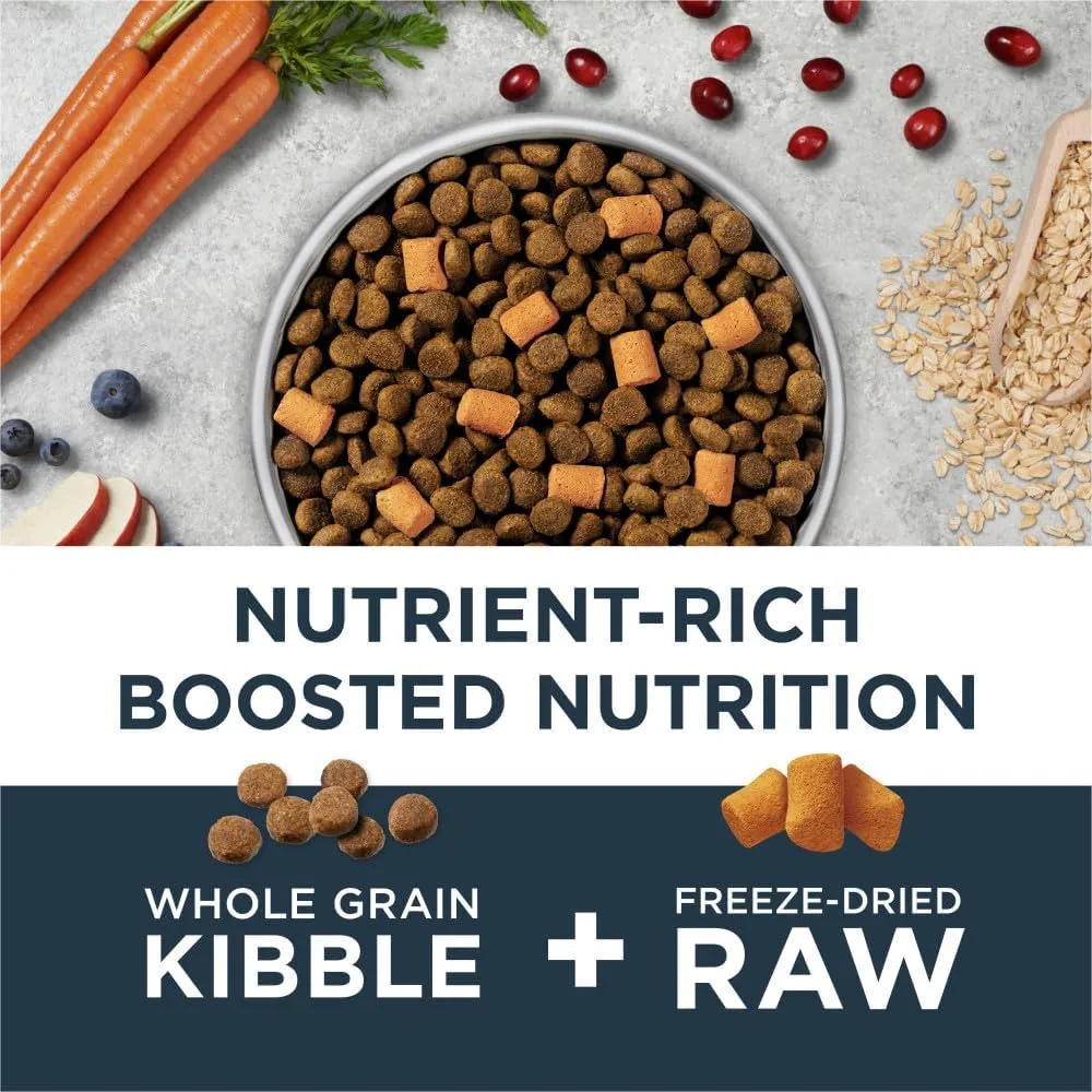 Instinct Raw Boost Whole Grain Gut Health Chicken Dry Dog Food, 18 lb. Bag