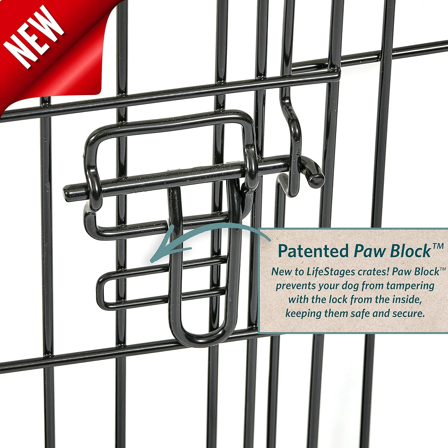 MidWest Homes for Pets Dog Crate | Midwest Life Stages 36' Folding Metal Dog Crate | Divider Panel, Floor Protecting Feet, Leak-Proof Dog Pan | 36L x 23W x 25H Inches, Intermediate Dog Breed, Black