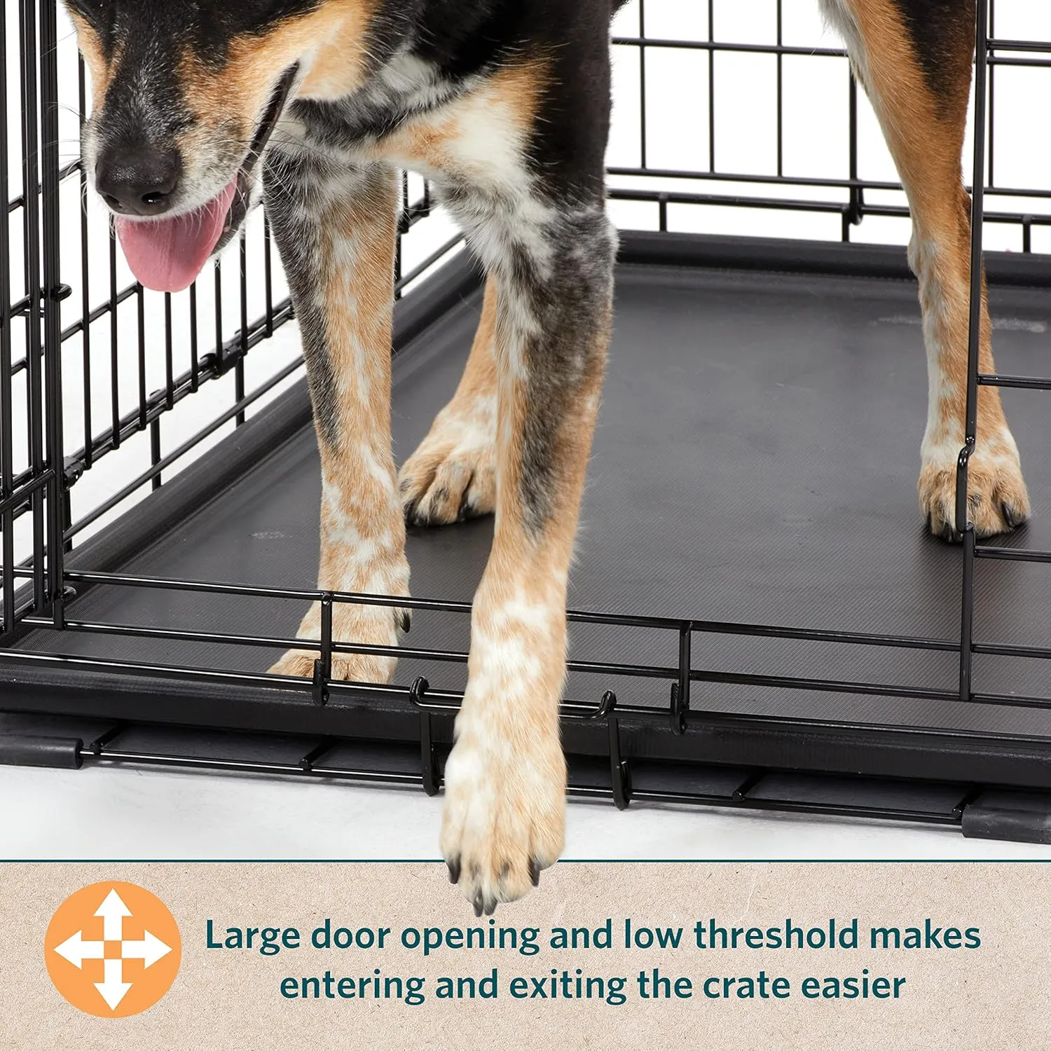 MidWest Homes for Pets Dog Crate | Midwest Life Stages 36' Folding Metal Dog Crate | Divider Panel, Floor Protecting Feet, Leak-Proof Dog Pan | 36L x 23W x 25H Inches, Intermediate Dog Breed, Black