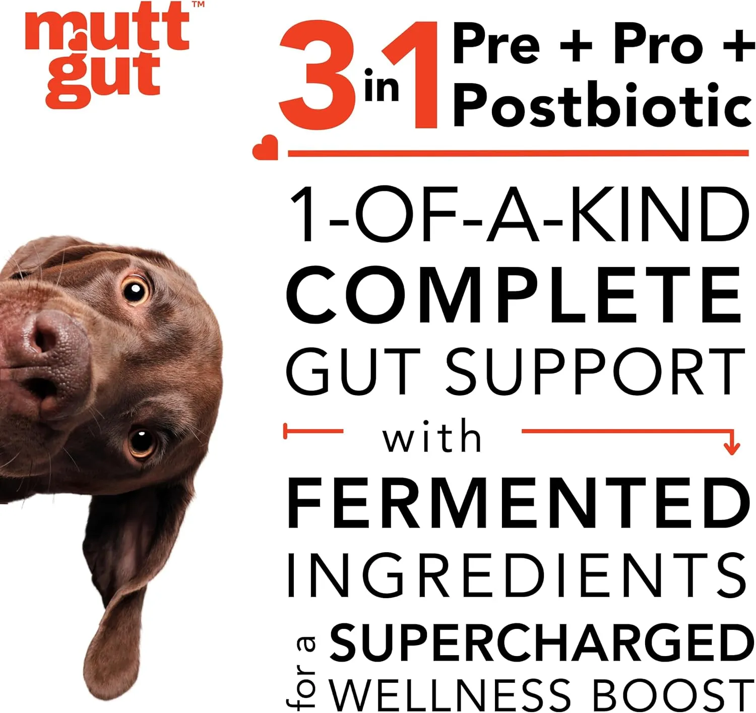 Mutt Gut 180 g