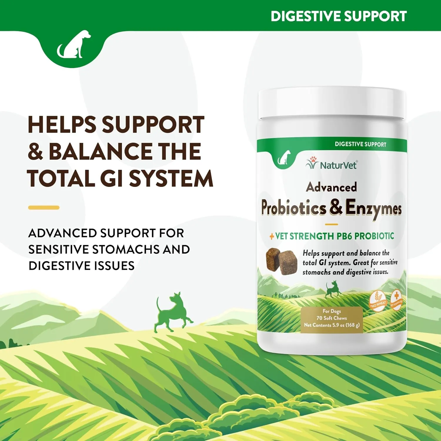 NaturVet Advanced Probiotics and Enzymes Supplement, Plus Vet Strength PB6 Probiotic, Soft Chews, Made in The USA with Globally Source Ingredients 70 Soft Chews