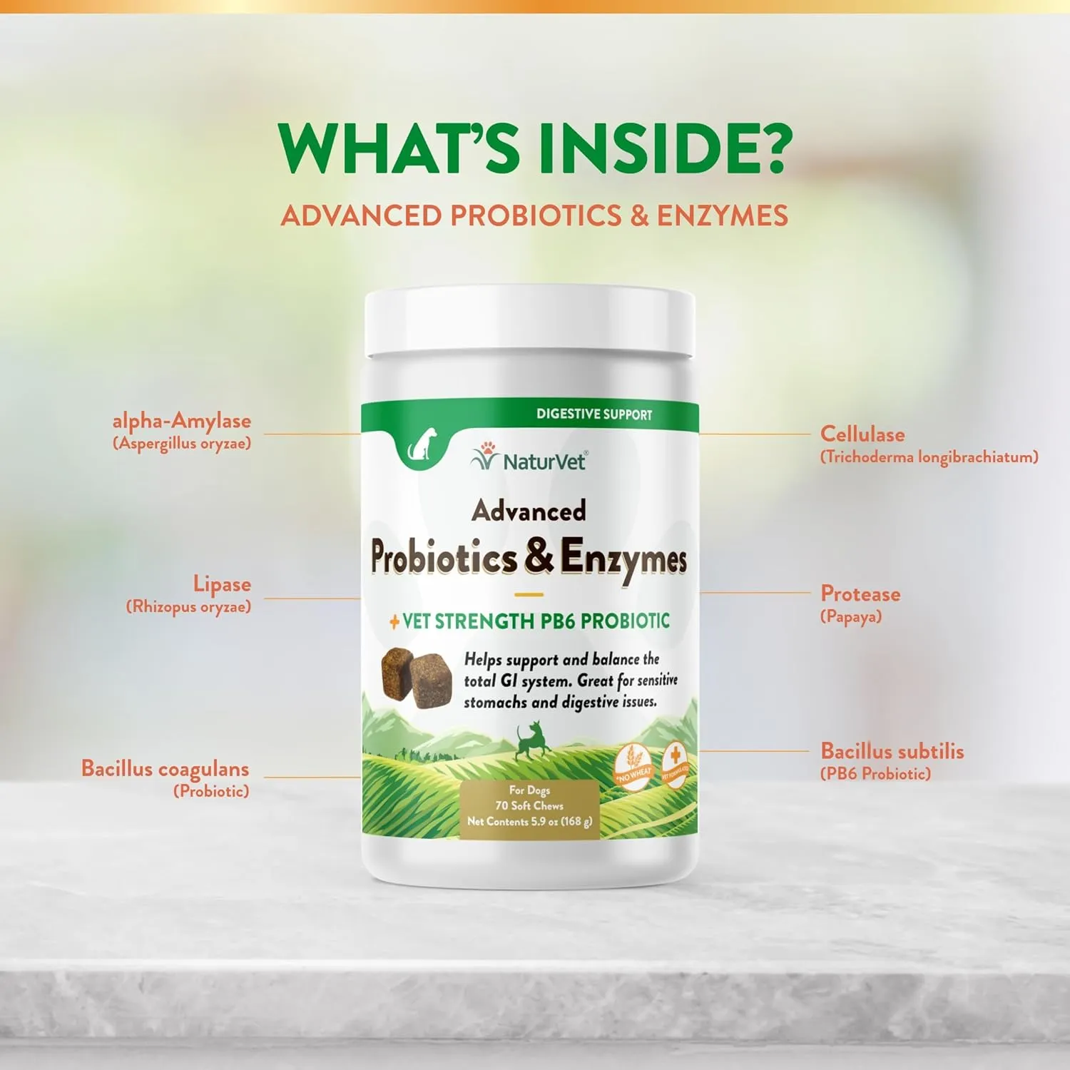 NaturVet Advanced Probiotics and Enzymes Supplement, Plus Vet Strength PB6 Probiotic, Soft Chews, Made in The USA with Globally Source Ingredients 70 Soft Chews
