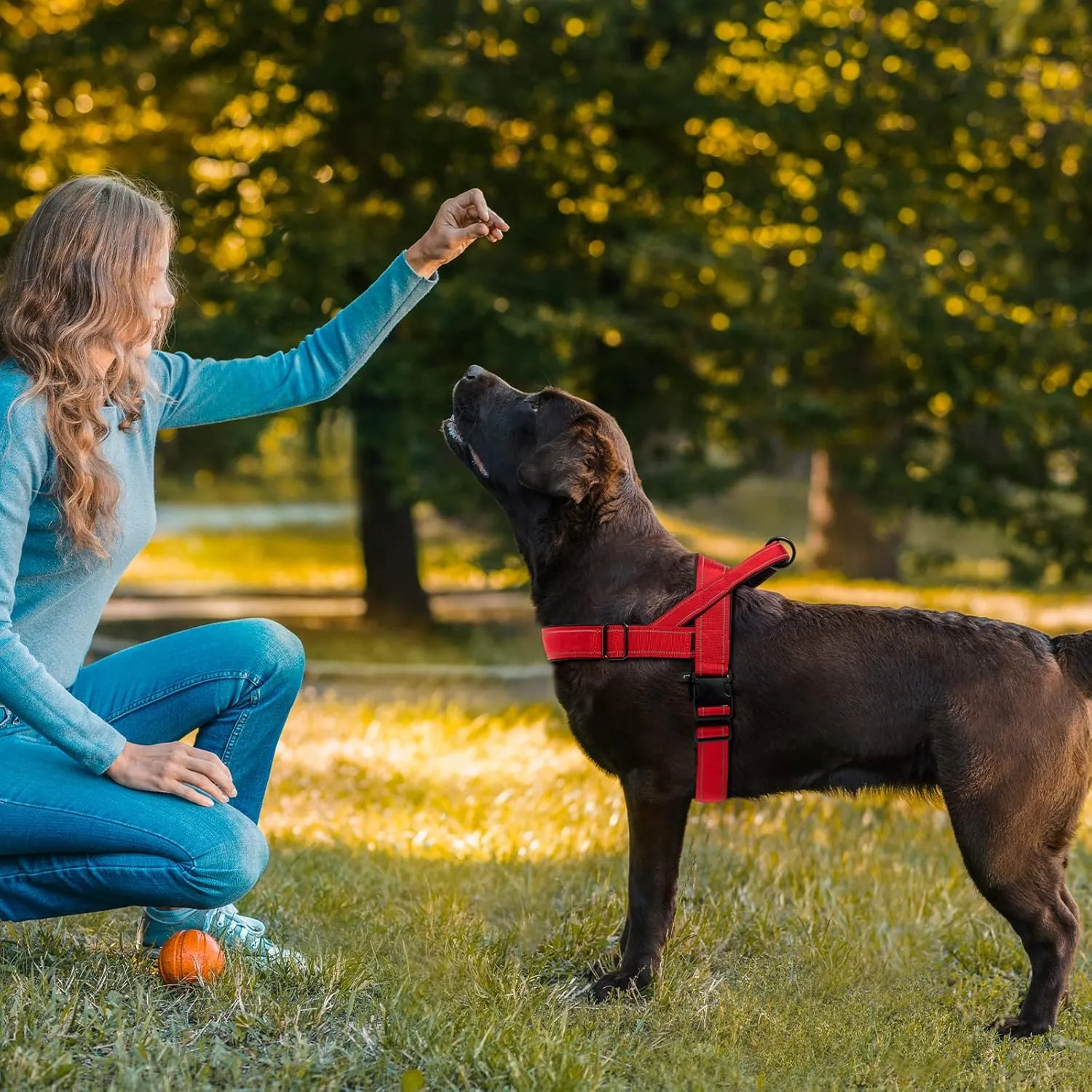 No Pull Dog Harness - Medium Large, Reflective, Escape Proof, Adjustable, Red