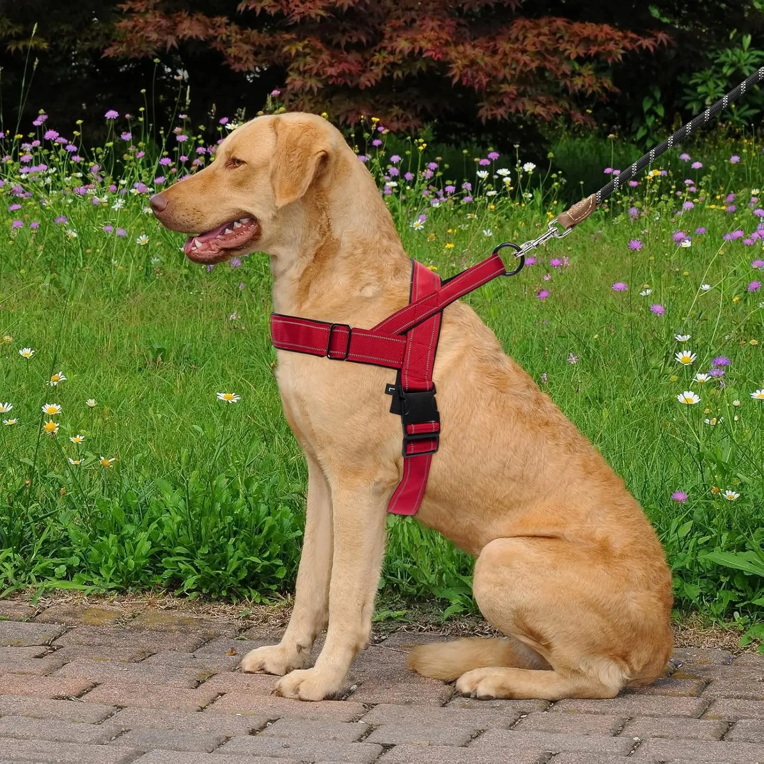 No Pull Dog Harness - Medium Large, Reflective, Escape Proof, Adjustable, Red