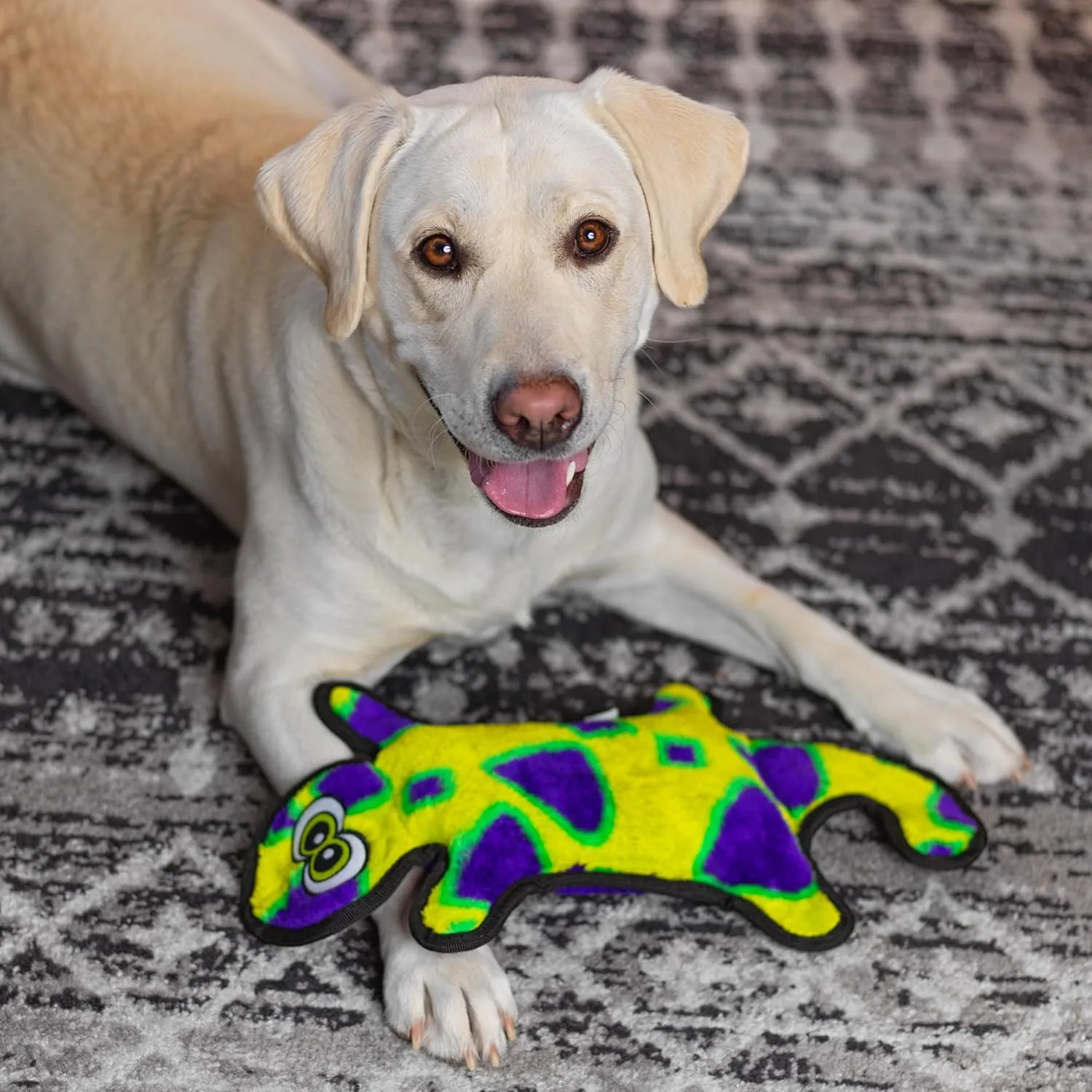 Outward Hound Durablez Stuffing-Free Squeaky Interactive Dog Toy, Tough Plush, Gecko, Green, Large