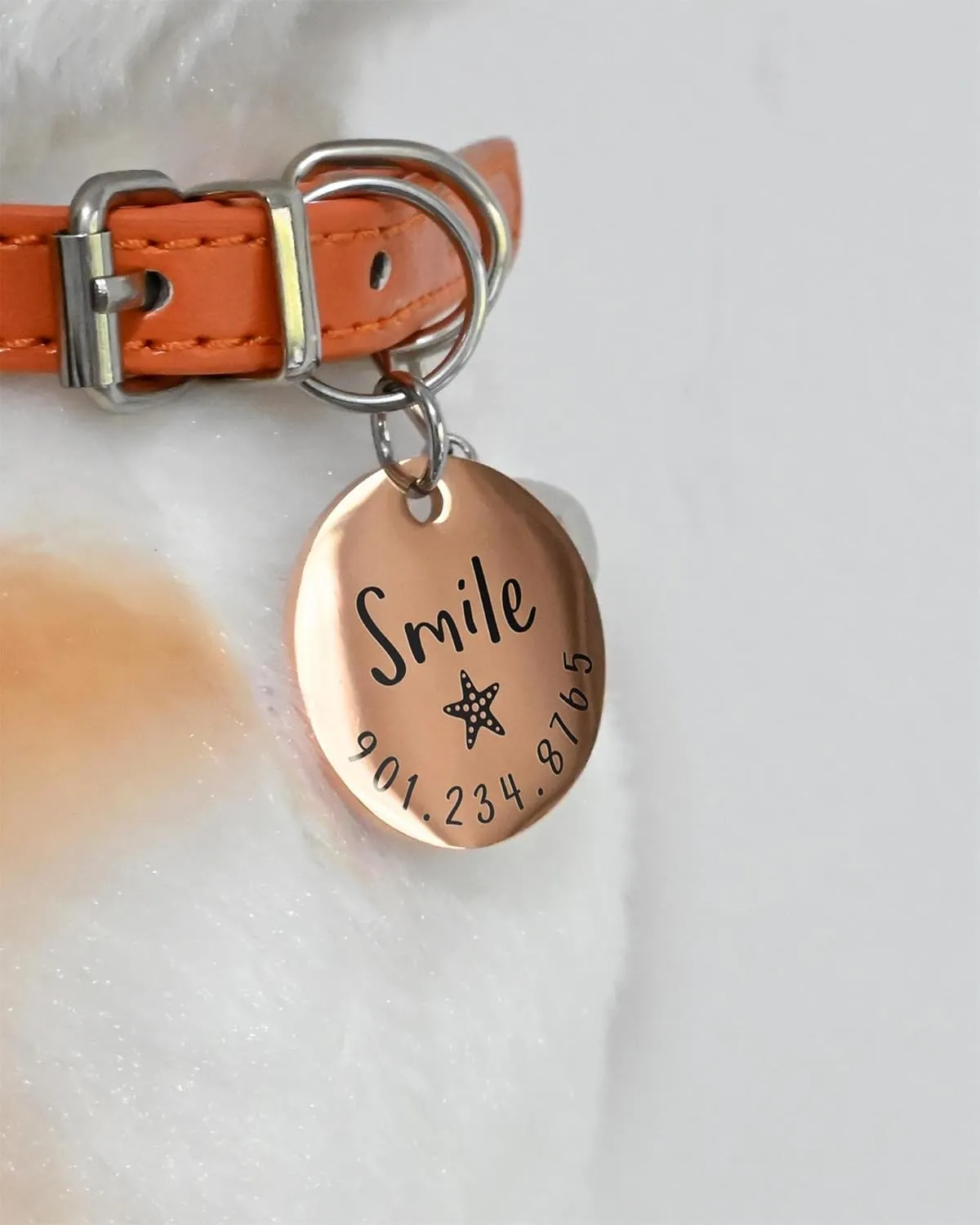 Personalized Lovely Symbols Dog Tags and Cat Tags Custom Engraved Stainless Steel Pet ID Tag (X-Small, Silver)