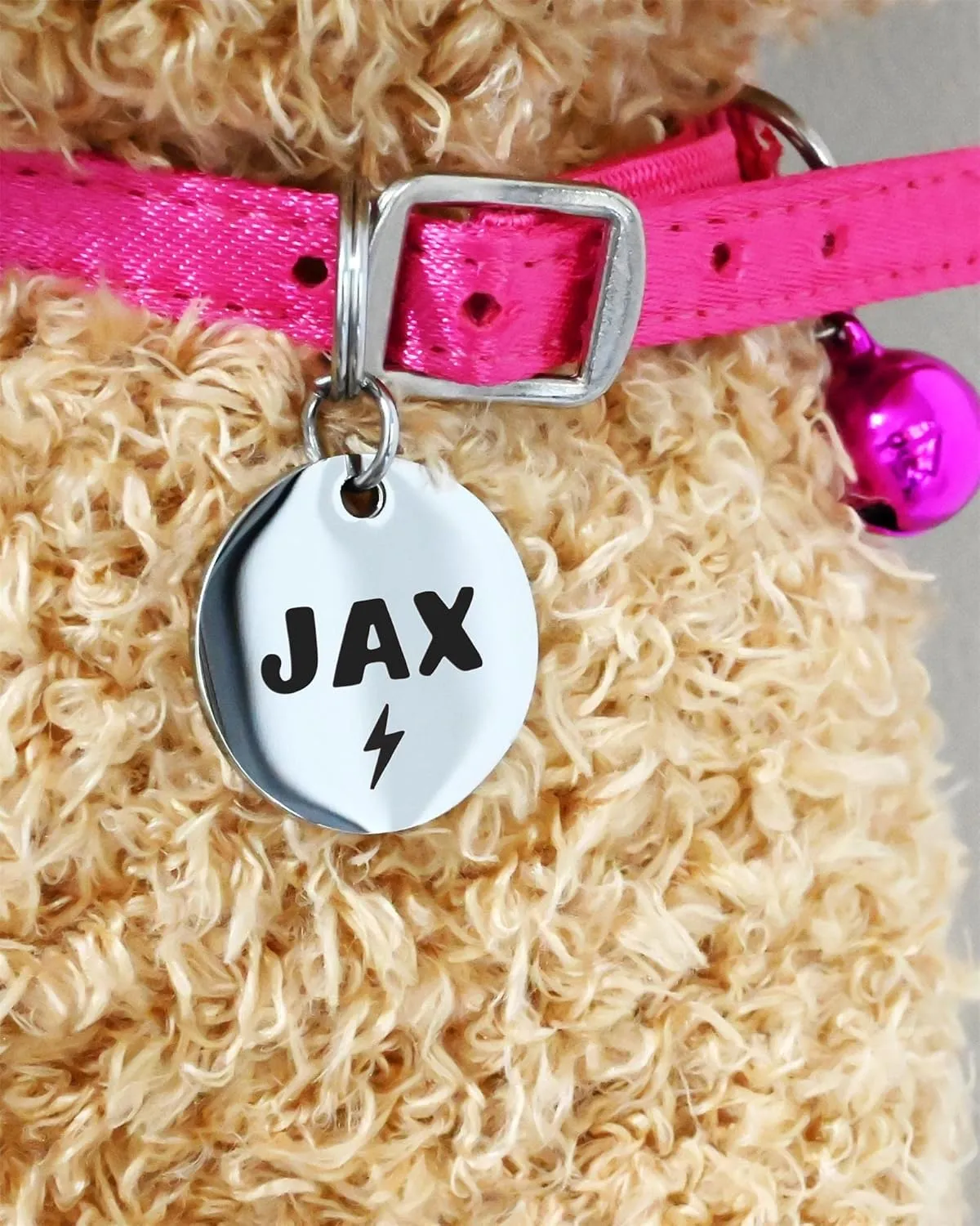 Personalized Lovely Symbols Dog Tags and Cat Tags Custom Engraved Stainless Steel Pet ID Tag (X-Small, Silver)