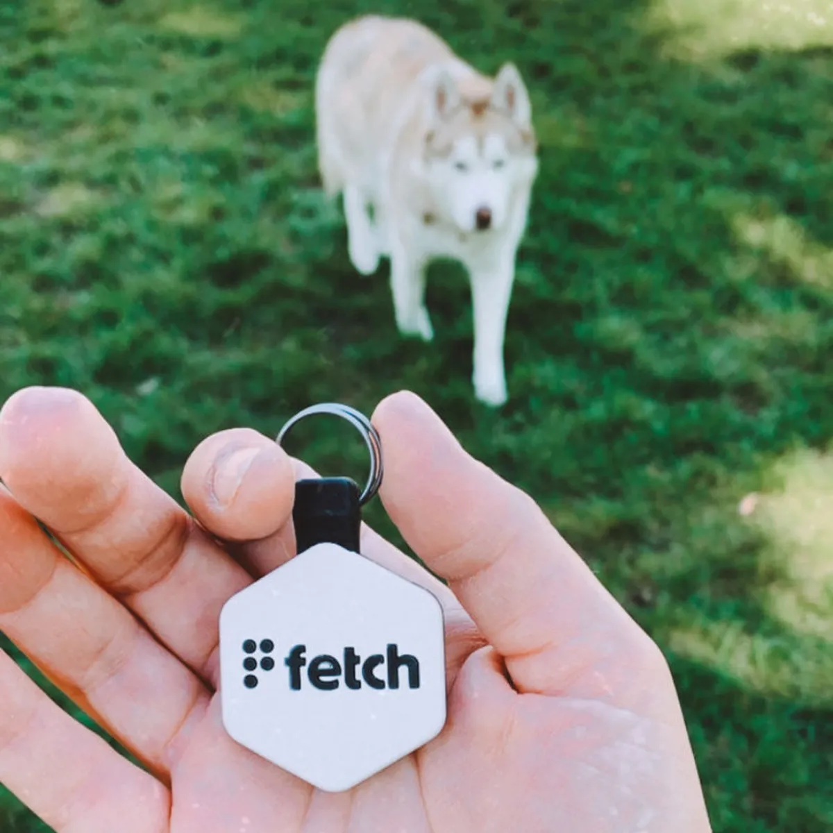 Pop Star Fetch®